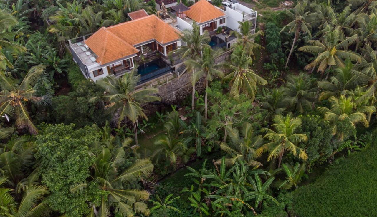 The Shea Tranquility With Private Pool Villa Ubud